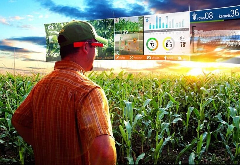 Сбербанк и Министерство сельского хозяйства намерены сотрудничать в области цифровой трансформации-новости