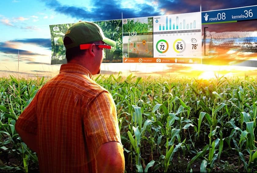 Сбербанк и Министерство сельского хозяйства намерены сотрудничать в области цифровой трансформации-новости