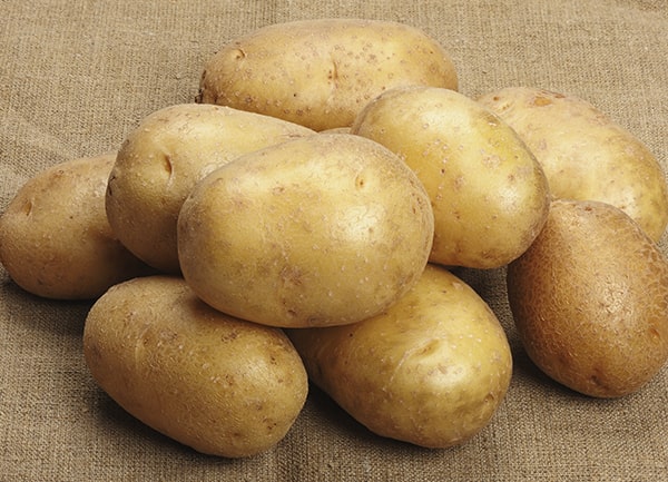 картофель-бельмондо