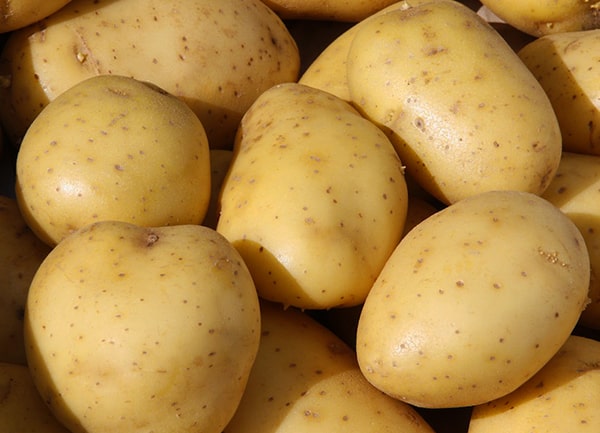 картофель-вега