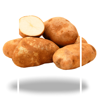 картофель-кормовой