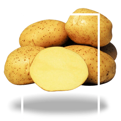 картофель-столовый