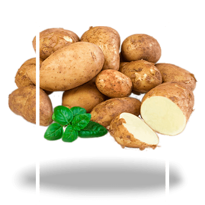 картофель-технический
