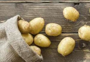 семена-картофеля-оптом