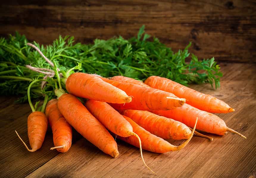 семена-моркови-оптом